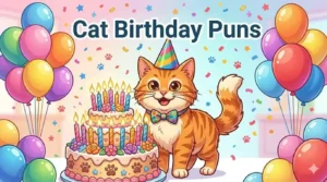 Funny birthday cat with cake